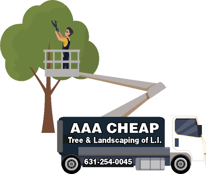 AAA Cheap Tree & Landscaping of L.I. artwork