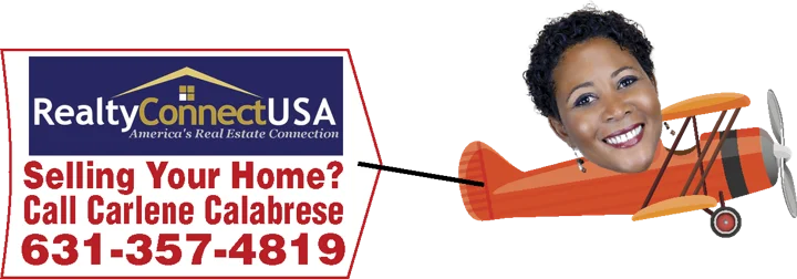 Carlene Calabrese - Realty Connect USA artwork