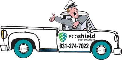 EcoShield Pest Solutions artwork from the MapToons map
