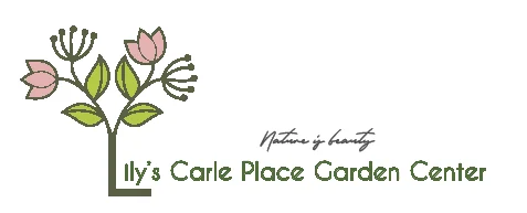 Lily's Carle Place Garden Center artwork