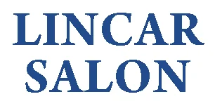 Lincar Salon artwork