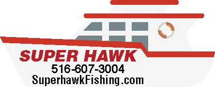 Super Hawk artwork