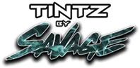 Tintz by Savage artwork