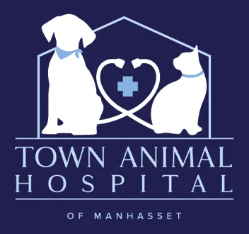 Town Animal Hospital of Manhasset artwork