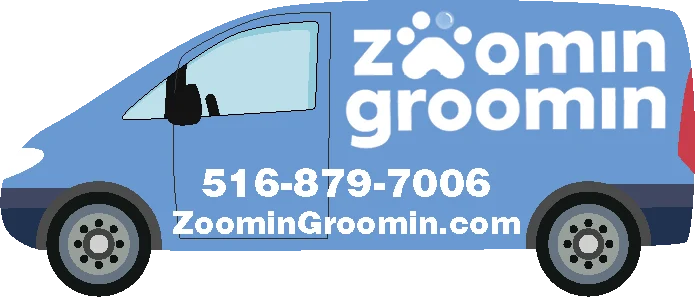 Zoomin Groomin artwork